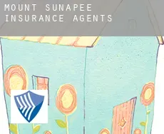 Mount Sunapee  insurance agents