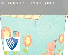 Peachburg  insurance