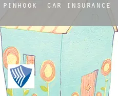 Pinhook car insurance