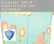 Pleasant Grove Subdivision car insurance