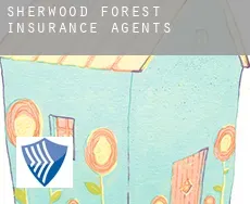 Sherwood Forest  insurance agents