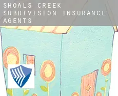 Shoals Creek Subdivision  insurance agents