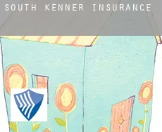 South Kenner  insurance