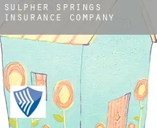Sulpher Springs  insurance company
