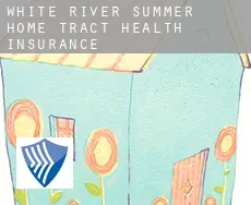 White River Summer Home Tract  health insurance