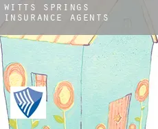 Witts Springs  insurance agents