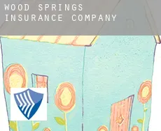 Wood Springs  insurance company