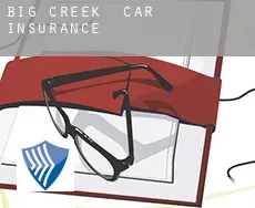 Big Creek  car insurance