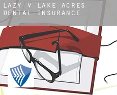 Lazy V Lake Acres  dental insurance