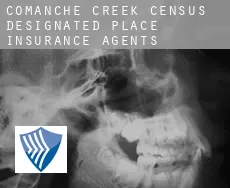 Comanche Creek  insurance agents
