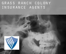 Grass Ranch Colony  insurance agents