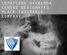 Lopatcong Overlook  insurance company
