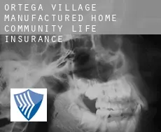 Ortega Village Manufactured Home Community  life insurance