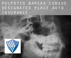Pulpotio Bareas  auto insurance