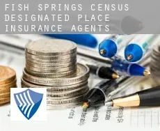 Fish Springs insurance agents