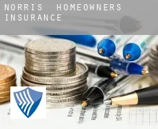 Norris homeowners insurance