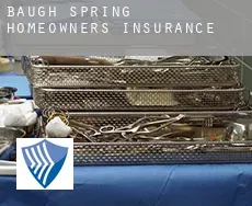 Baugh Spring  homeowners insurance