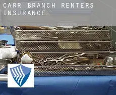 Carr Branch  renters insurance
