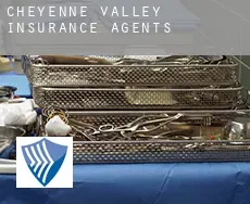 Cheyenne Valley  insurance agents