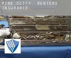 Pine Cliff  renters insurance