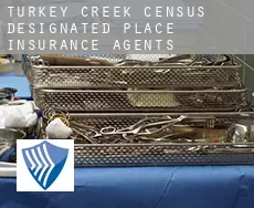 Turkey Creek  insurance agents