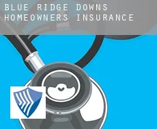 Blue Ridge Downs  homeowners insurance