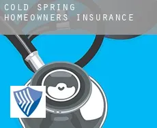 Cold Spring  homeowners insurance