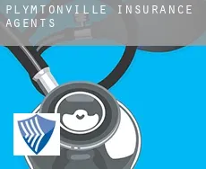 Plymtonville  insurance agents
